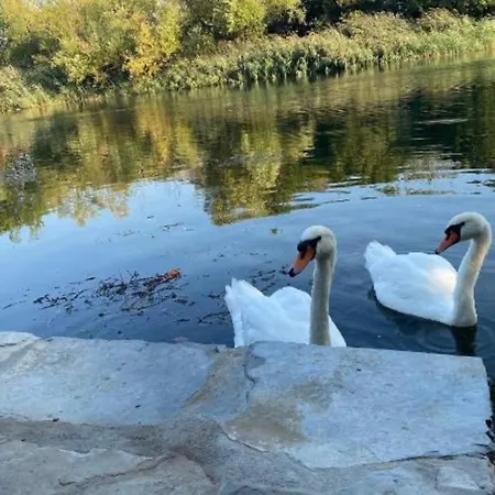 דירה Odmor Uz Trebisnjicu טרביניה