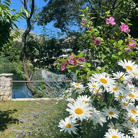 Διαμέρισμα Odmor Uz Trebisnjicu *