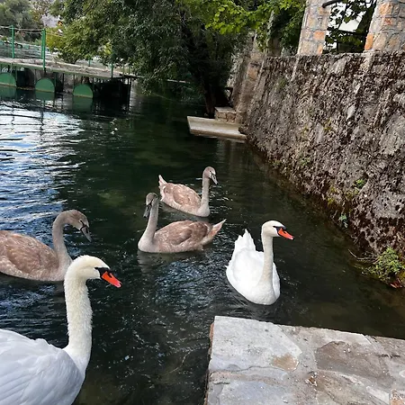 Odmor Uz Trebisnjicu דירה