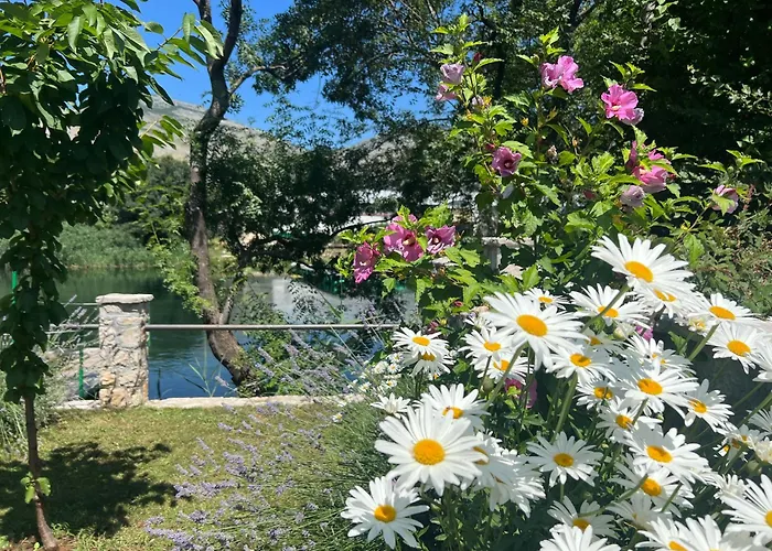 Apartman Odmor Uz Trebisnjicu *